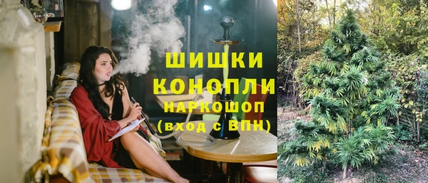 соль ск Няндома