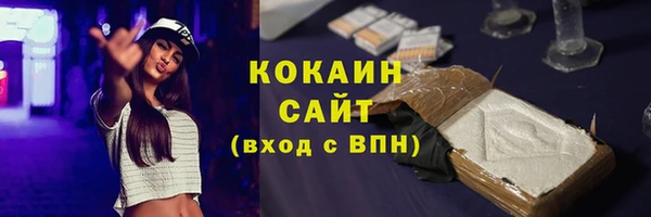 шишки Осташков
