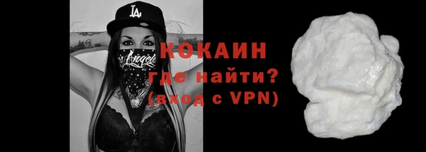 шишки Осташков
