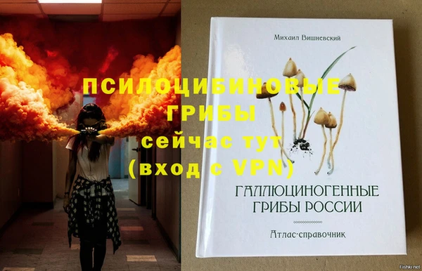 ECSTASY Очёр